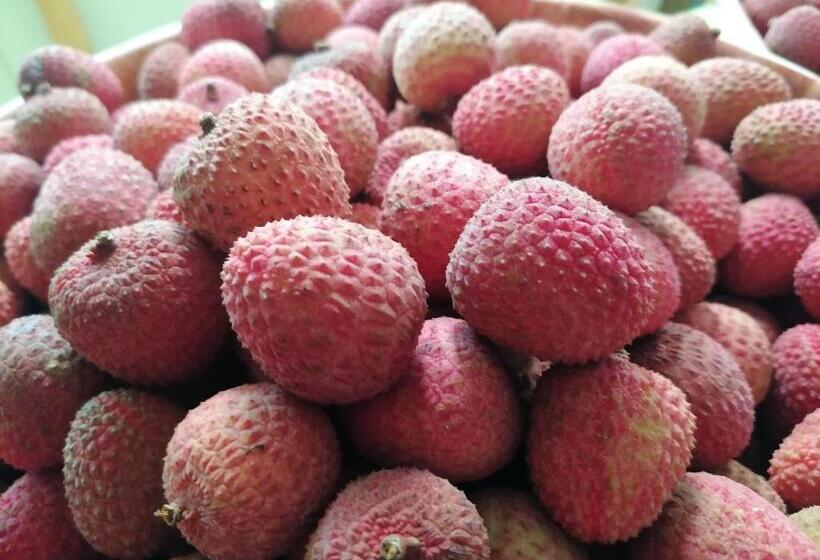 هتل Pension Taitaa Tubuai