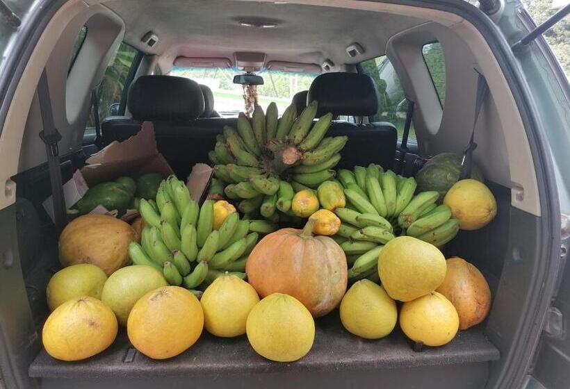 هتل Pension Taitaa Tubuai