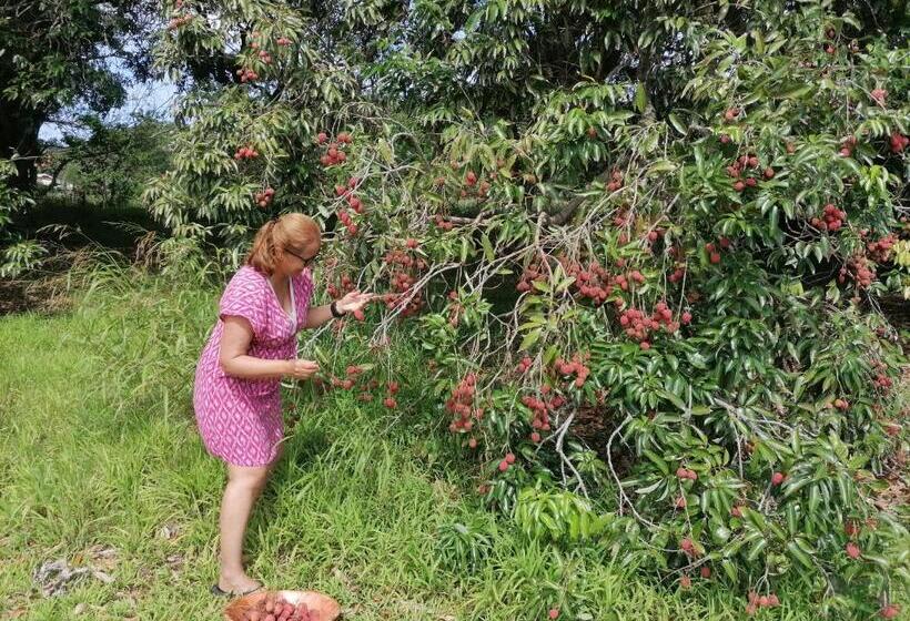 هتل Pension Taitaa Tubuai