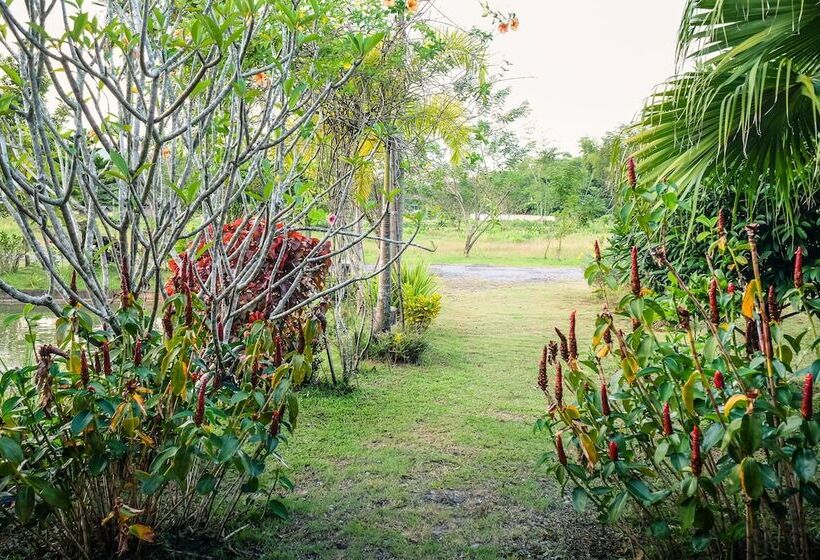 Szálloda Rommai Villa