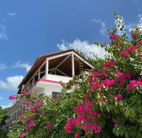 Aamiaismajoitus (B&B) Casa Bugambilias