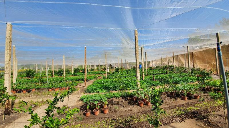 Fotos del hotel Hodota Resort Center:  14