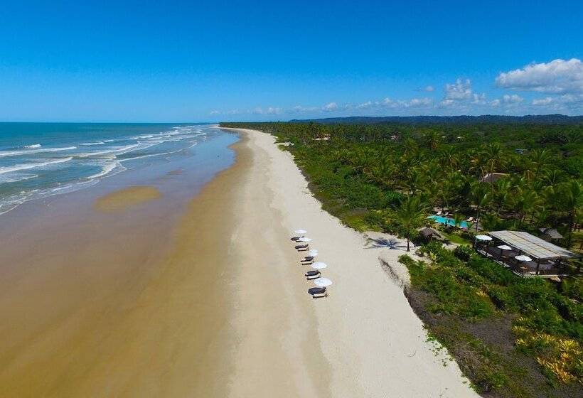 בית מלון כפרי Aldeia Da Mata Ecolodge