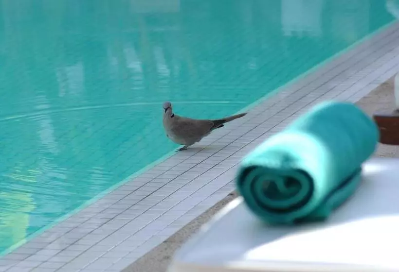 هتل Les Jardins De La Medina