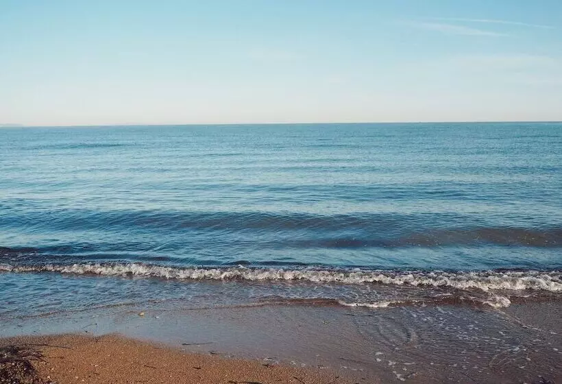 Отель Noguera Mar