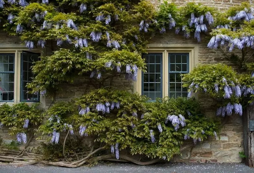 ホテル Plumber Manor