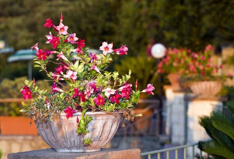 هتل Poggio Del Sole