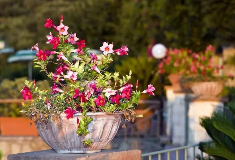 Otel Poggio Del Sole