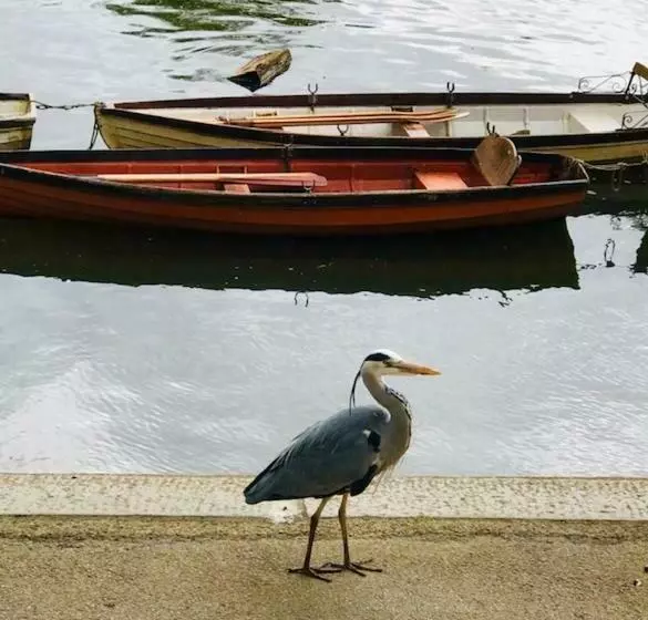 فندق Richmond Park
