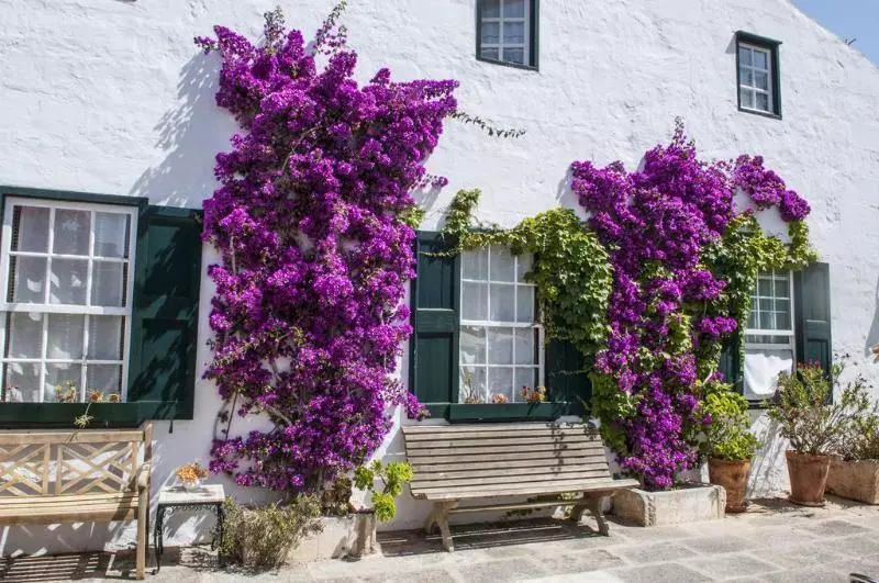 Hotel Rural Biniarroca Adults Only