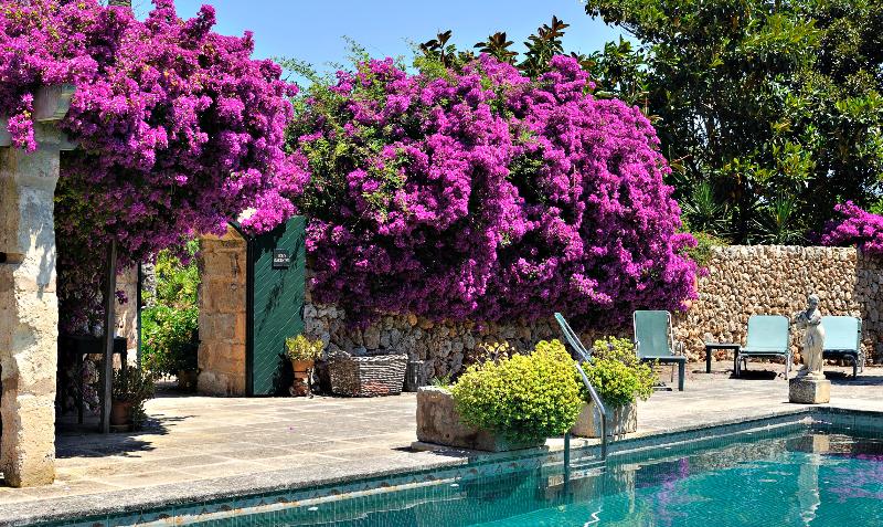 ホテル Rural Biniarroca  Adults Only