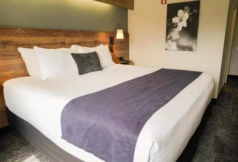 Motelli Ruby Sandpoint