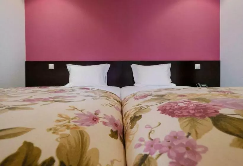 Отель Católica