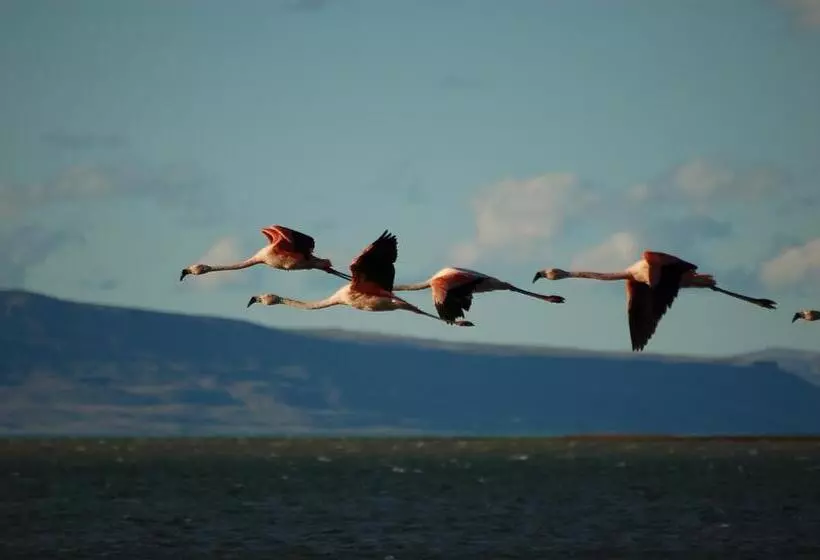 בית מלון כפרי Hosteria Cauquenes De Nimez