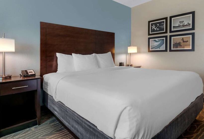 فندق Comfort Inn & Suites Melbourneviera