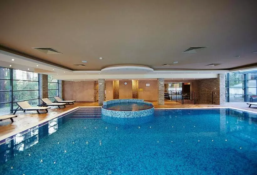 Отель Festa Chamkoria Apartments