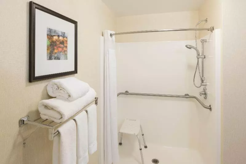 Hotel Holiday Inn Express & Suites East Greenbush Albany Skyline An Ihg