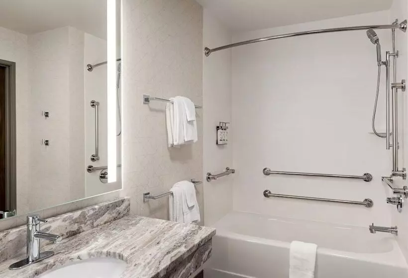 Hotel Holiday Inn Express & Suites East Greenbush Albany Skyline An Ihg