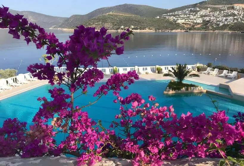 Patara Prince Hotel & Resort Special Category