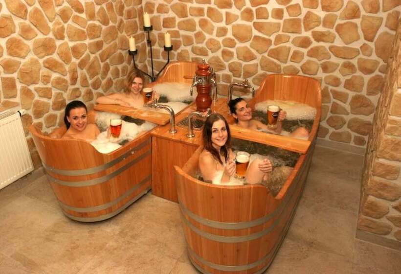 هتل Prague Centre Plaza