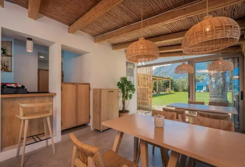 Paradise Elegant Apartments   Perfect Escape On The Beach