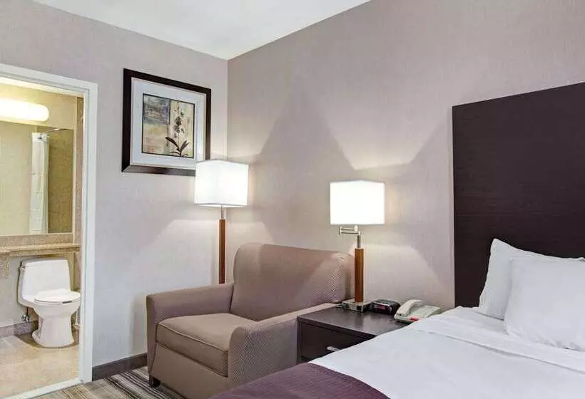 호텔 Days Inn By Wyndham Jamaica / Jfk Airport