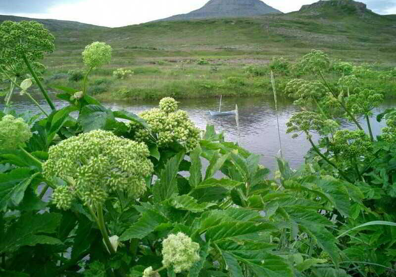 בית מלון כפרי Edda Isafjordur