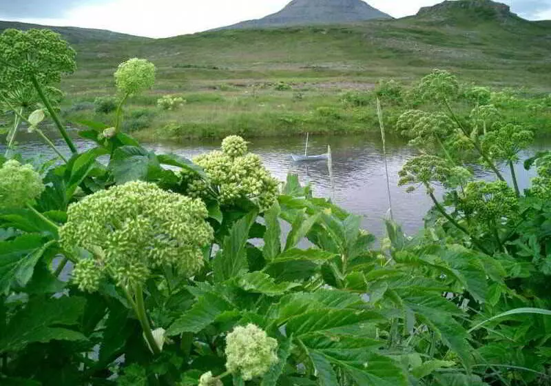 בית מלון כפרי Edda Isafjordur