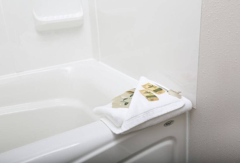 בית מלון כפרי Valemount Vacation Inn