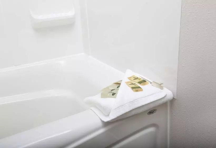 Hotel Valemount Vacation Inn