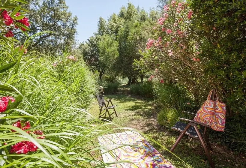 استراحتگاه Residence Pierre & Vacances Les Restanques Du Golfe De Sainttropez
