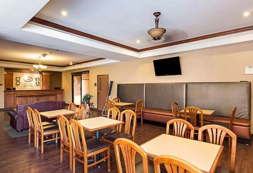 酒店 Comfort Suites At Plaza Mall