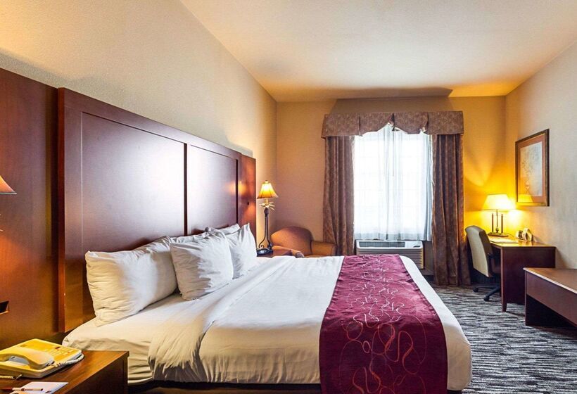 ホテル Comfort Suites At Plaza Mall