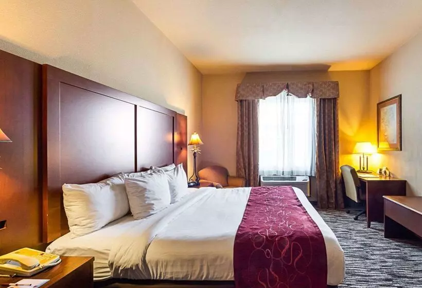 酒店 Comfort Suites At Plaza Mall