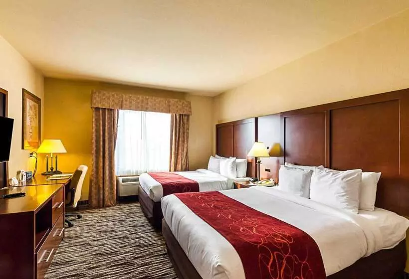 酒店 Comfort Suites At Plaza Mall