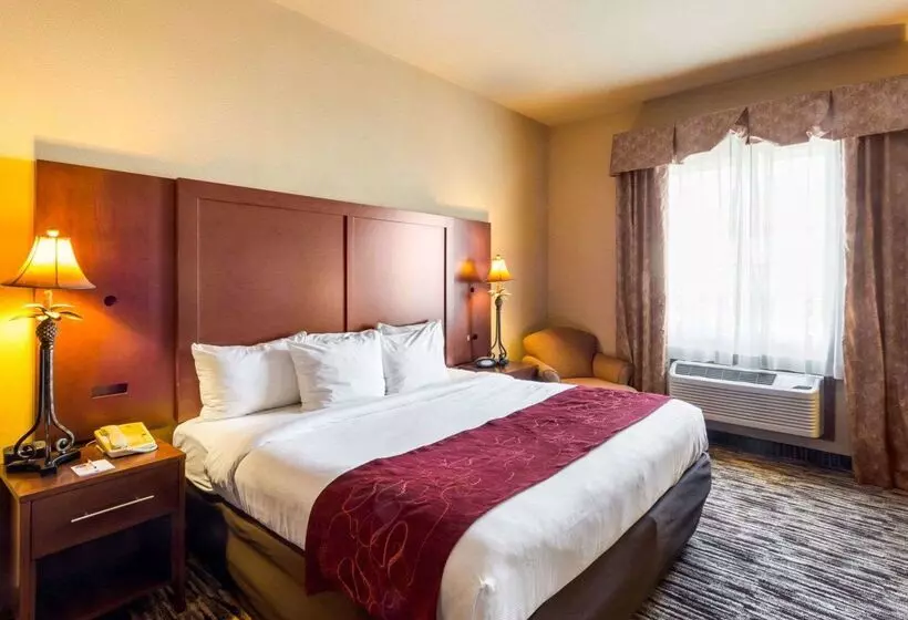 酒店 Comfort Suites At Plaza Mall