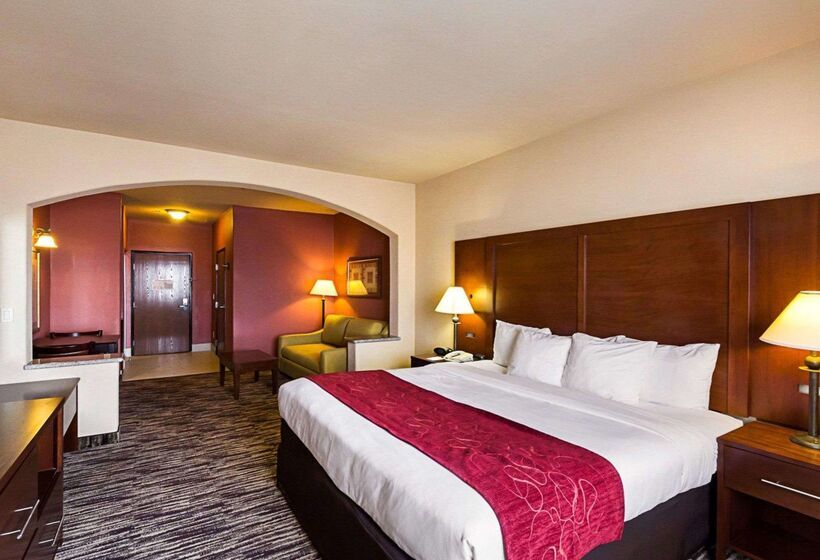 هتل Comfort Suites At Plaza Mall