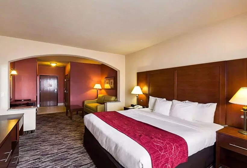 酒店 Comfort Suites At Plaza Mall