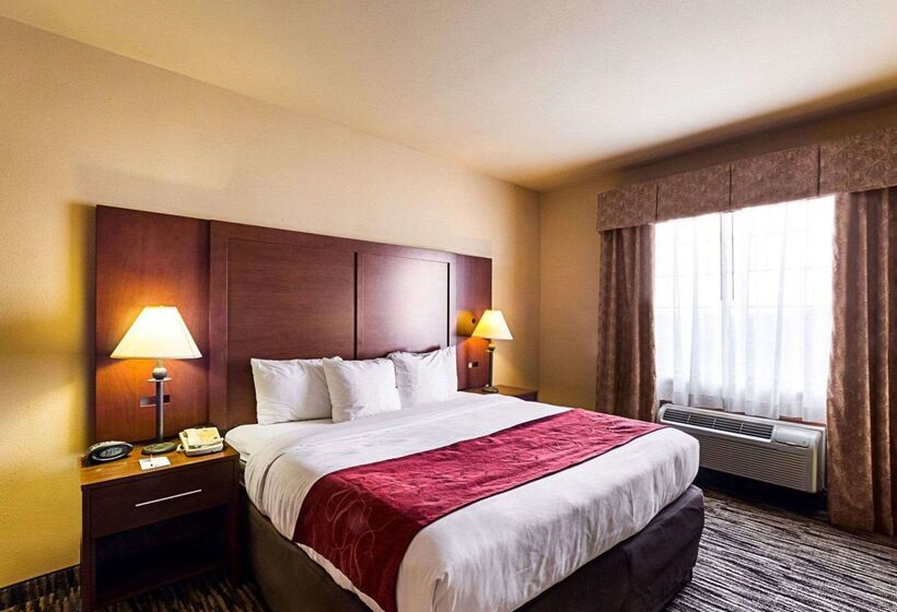 ホテル Comfort Suites At Plaza Mall