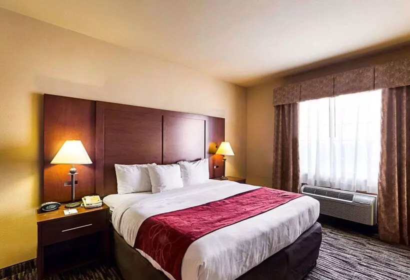 酒店 Comfort Suites At Plaza Mall