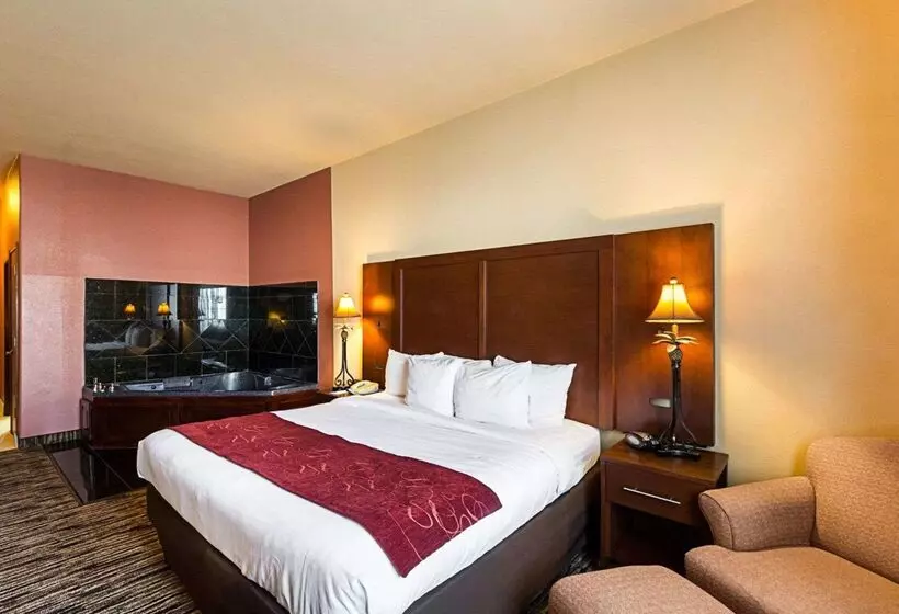 酒店 Comfort Suites At Plaza Mall