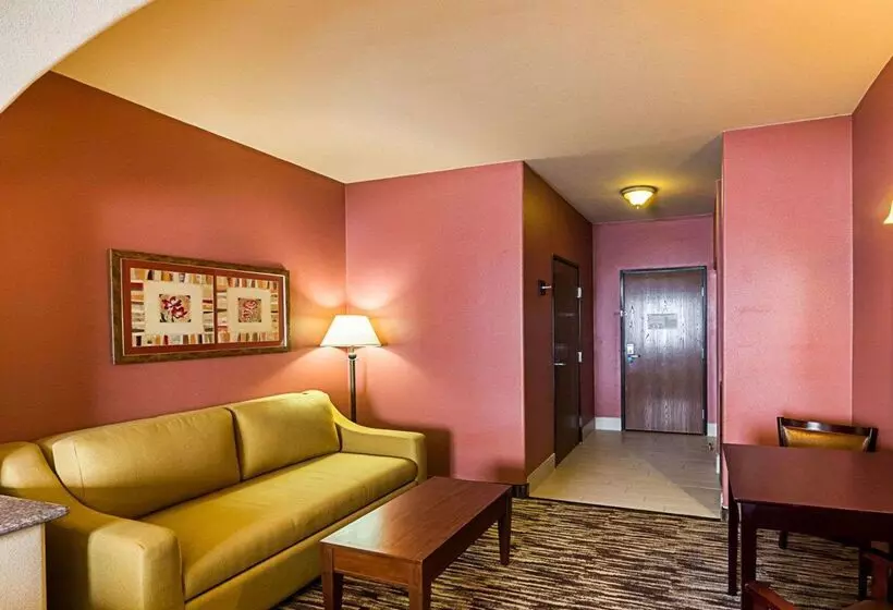 酒店 Comfort Suites At Plaza Mall