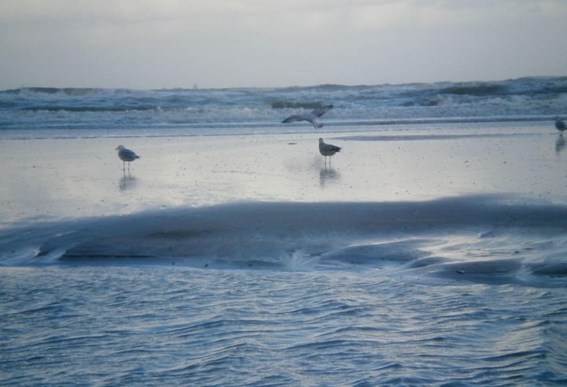 Fletcher Hotel Restaurant Zeeduin