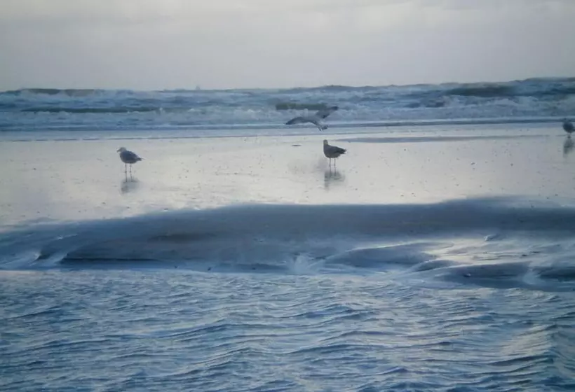 Fletcher Hotel Restaurant Zeeduin