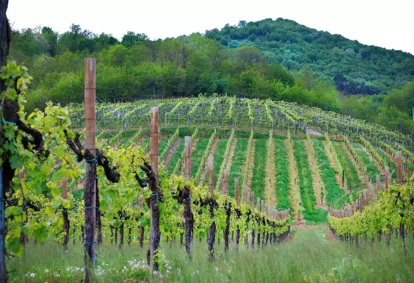 Wine Hotel San Giacomo Activity & Wellness