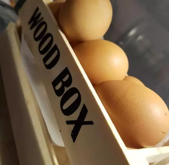 Хостел L Host Boutique Rooms