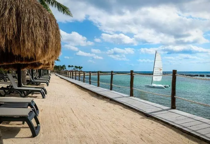 Курорт Catalonia Yucatan Beach - All Inclusive