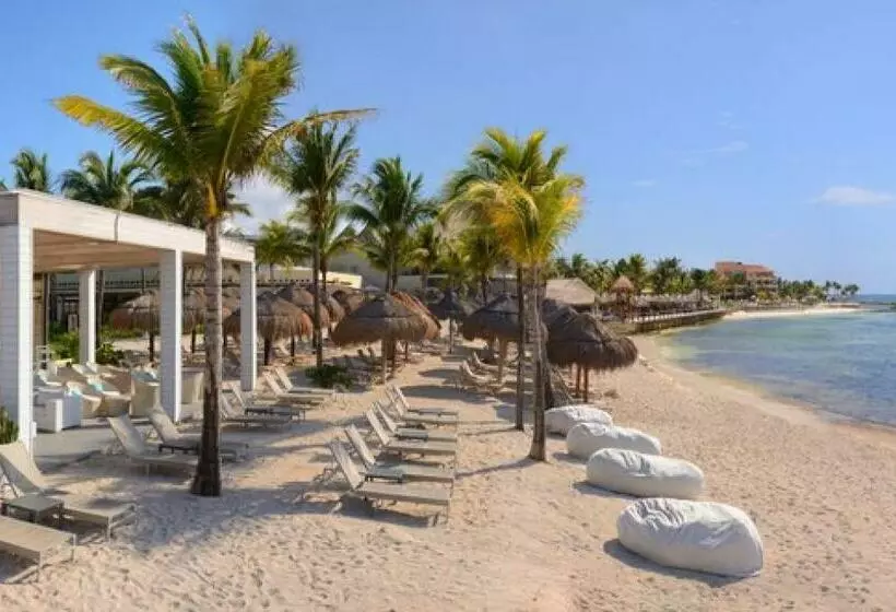 Курорт Catalonia Yucatan Beach - All Inclusive