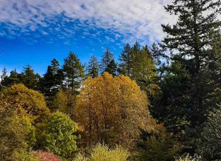 호텔 The White Stag