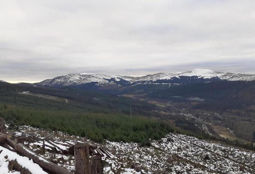 Отель The White Stag